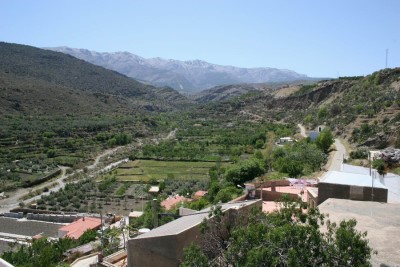 Ruta del Cerezo en Flor en Abla