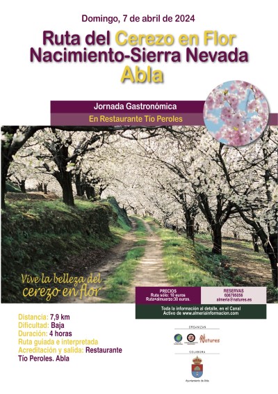 Ruta del Cerezo en Flor en Abla