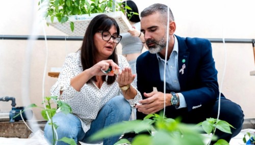 La formación, clave para garantizar el relevo generacional y el futuro del campo andaluz