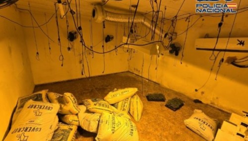 Detienen a dos clanes familiares dedicados al tráfico de drogas en El Puche