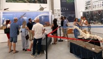 Una exposición en la UAL muestra la diversidad marina del Mar de Alborán