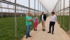 Comienza la campa&ntilde;a 'No cortes en verde' para mel&oacute;n y sand&iacute;a en la provincia