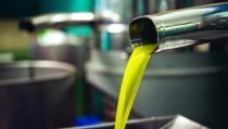 Las exportaciones agroalimentarias crecen un 6,4% y rozan los 7.000 millones