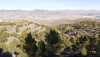 La Junta invierte m&aacute;s de un mill&oacute;n de euros en los bosques de Los Filabres