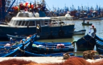 El Gobierno convocar&aacute; ayudas para recuperar d&iacute;as de pesca