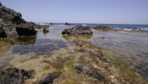 Andaluc&iacute;a declarar&aacute; Zona Especial de Conservaci&oacute;n la Isla de Albor&aacute;n