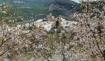 Ser&oacute;n