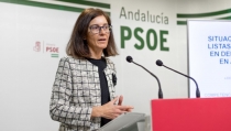 El PSOE propone a la Junta que eleve Los Millares a conjunto cultural