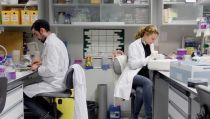 Andaluc&iacute;a convoca ayudas para contratar a j&oacute;venes investigadores y personal t&eacute;cnico de I+D+i