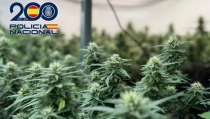 Dos detenidos en dos nuevas operaciones contra el narcotr&aacute;fico en Almer&iacute;a
