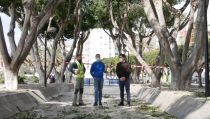 El plan de refuerzo y mantenimiento de jardines de Adra avanza