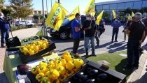 COAG valora positivamente los avances en la Ley de Cadena Alimentaria