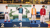 El club K&aacute;rate Kanku gana 23 medallas en el Campeonato de Andaluc&iacute;a J&oacute;venes Promesas