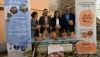 Sorbas celebra este fin de semana el D&iacute;a de las Ollas con m&aacute;s actividades