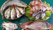 Andaluc&iacute;a pone en marcha un plan de acci&oacute;n para promocionar la pesca y la acuicultura