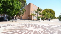Enfermer&iacute;a y Agricultura de la UAL, destacados en el Ranking de Shangh&aacute;i