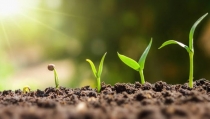 Las empresas de nutrici&oacute;n vegetal m&aacute;s relevantes participar&aacute;n en Infoagro Exhibition