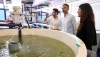 Andaluc&iacute;a prev&eacute; ampliar hasta los 7,6 millones las ayudas para inversiones en acuicultura