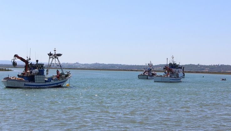 El proyecto Ecomares retira m&aacute;s de 74.000 kilos de basura marina en a&ntilde;o y medio