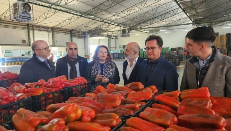 Crespo pone en valor la vocaci&oacute;n innovadora del sector hortofrut&iacute;cola
