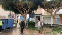 Canj&aacute;yar y Aspapros colaboran para adecentar el arbolado del municipio