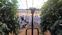 Cajamar Innova Agrotech lanza tres  retos tecnol&oacute;gicos para impulsar la innovaci&oacute;n en el sector agroalimentario