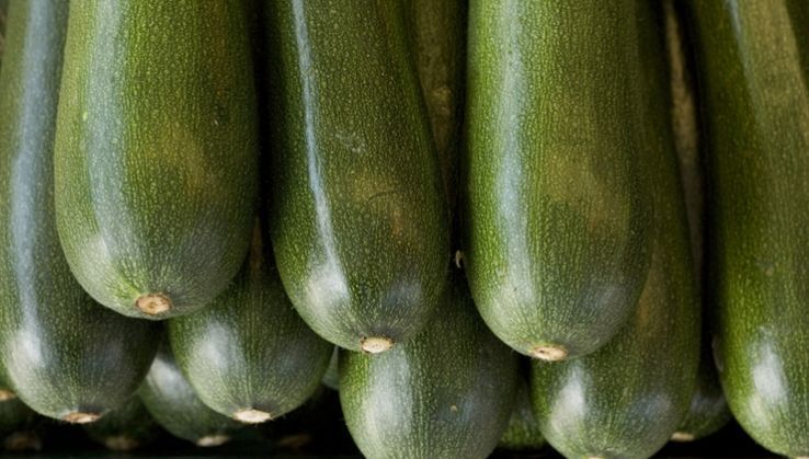ASAJA Almer&iacute;a denuncia la brusca ca&iacute;da de los precios de calabac&iacute;n, pepino y berenjena