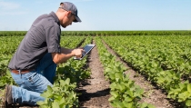 Andaluc&iacute;a destina 5 millones a una l&iacute;nea de ayudas a la agricultura de precisi&oacute;n