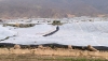 Andaluc&iacute;a declara desastre natural los efectos de la DANA en el sector agrario