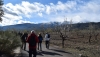 SENDERISMO: Las Rutas del Almendro en Flor Filabres Alhamilla - Nacimiento 2026 finalizan en Fi&ntilde;ana y Tabernas
