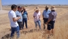 ASAJA Almer&iacute;a prev&eacute; un descenso del 90% en la cosecha de cereales en la provincia