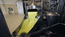 UPA Andaluc&iacute;a denuncia que los bajos precios del aceite de oliva no cubren los costes de producci&oacute;n