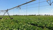 Convocan ayudas para la mejora energ&eacute;tica de explotaciones agropecuarias