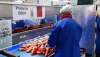 La Junta en Almer&iacute;a visitar&aacute; 421 empresas para comprobar la seguridad laboral