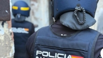 Diez detenidos en una operaci&oacute;n contra el cultivo de marihuana en Almer&iacute;a