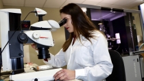 Las cient&iacute;ficas de la UAL, referentes en el D&iacute;a de la Mujer y la Ni&ntilde;a en la Ciencia