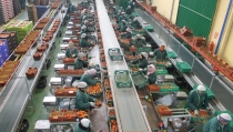COEXPHAL aprueba un aumento salarial del 2,5% en el sector del manipulado hortofrut&iacute;cola