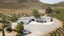 La eco-bodega Cortijo El Cura presentar&aacute; los vinos de su nueva cosecha en un evento exclusivo