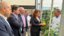 El proyecto DemoFarm busca reducir la brecha digital y la huella h&iacute;drica del campo andaluz