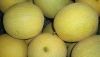 ASAJA denuncia que los precios del mel&oacute;n y la sand&iacute;a se hunden m&aacute;s de un 30%