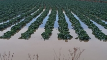 La Junta invierte casi 16,5 millones de euros en restauraci&oacute;n fluvial en Almer&iacute;a