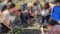Alumnos y profesores de V&iacute;car participan en una plantaci&oacute;n de algarrobos