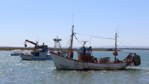 Andaluc&iacute;a aumenta en medio millón de euros las ayudas para la pesca de arrastre del Mediterráneo