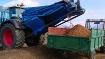 La cosecha de almendra ha ca&iacute;do un 60% esta campa&ntilde;a en la provincia de Almer&iacute;a