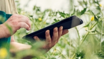 La Comisi&oacute;n Europea ampl&iacute;a el plazo para implantar el cuaderno digital agrario