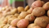 COAG Andaluc&iacute;a denuncia que los grandes distribuidores especulan con el precio de la patata