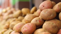 COAG Andaluc&iacute;a denuncia que los grandes distribuidores especulan con el precio de la patata
