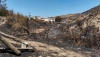 El &aacute;rea del incendio de Los Gallardos, declarada zona afectada por emergencias