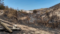 El &aacute;rea del incendio de Los Gallardos, declarada zona afectada por emergencias