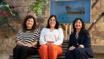 FICAL Social facilita la participaci&oacute;n de colectivos vulnerables en el festival